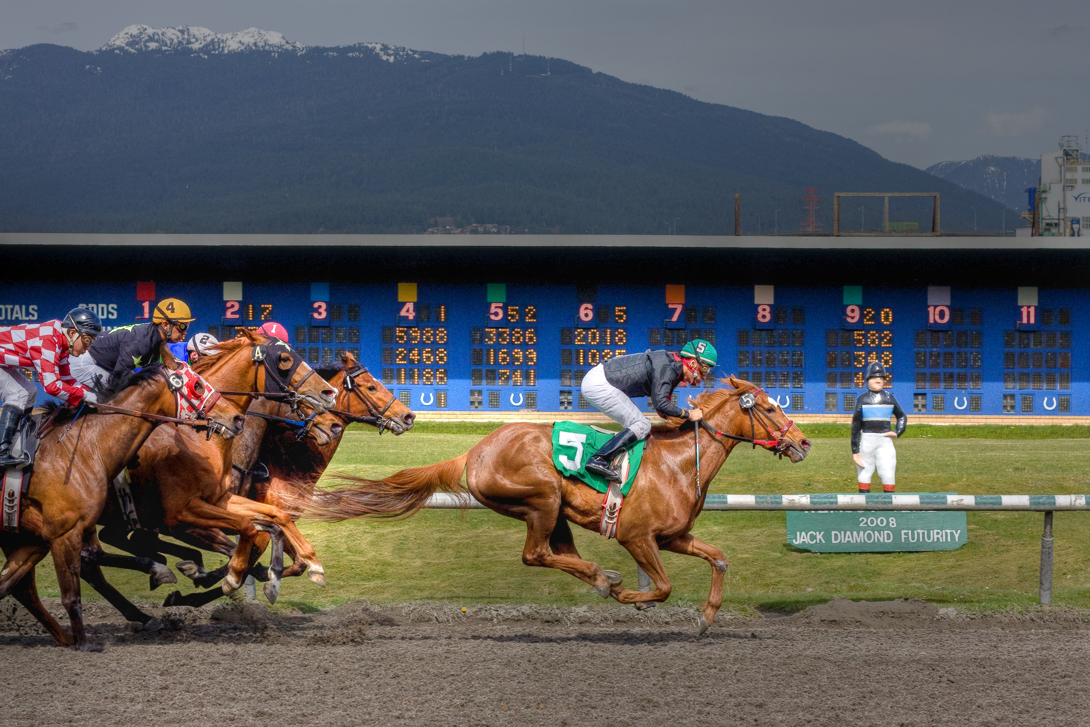 online race horse betting