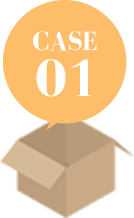 CASE01