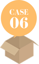 CASE06