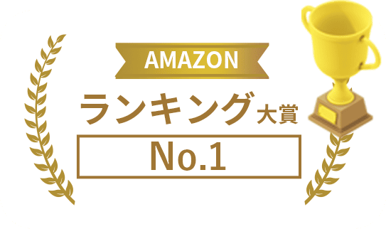 Amazonランキング大賞No.1